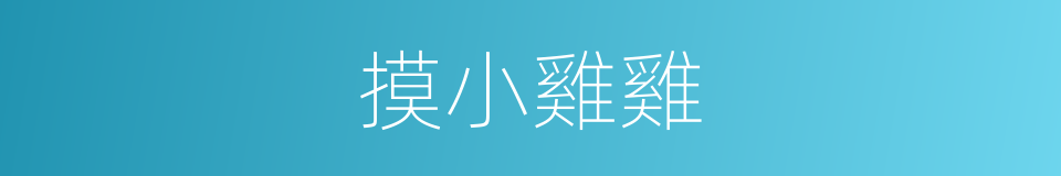 摸小雞雞的同義詞