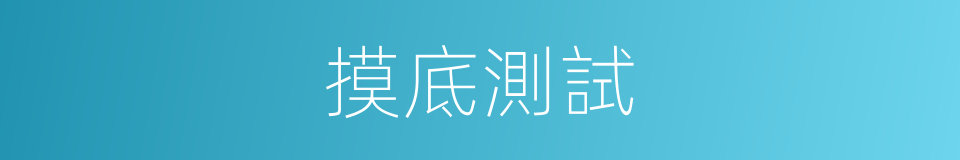 摸底測試的同義詞