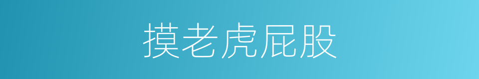 摸老虎屁股的同义词