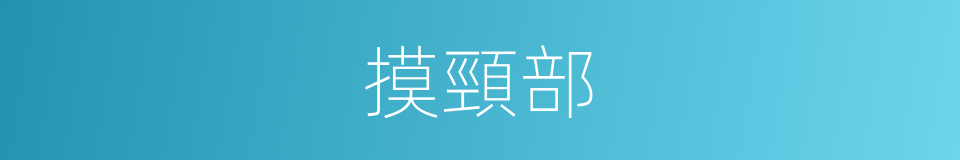 摸頸部的同義詞