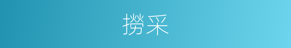 撈采的意思