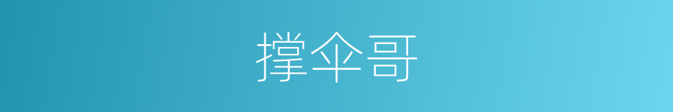 撑伞哥的同义词