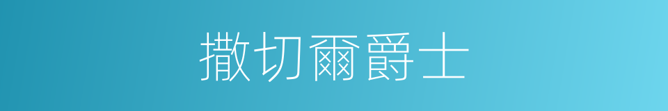 撒切爾爵士的同義詞