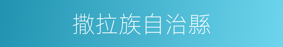 撒拉族自治縣的同義詞