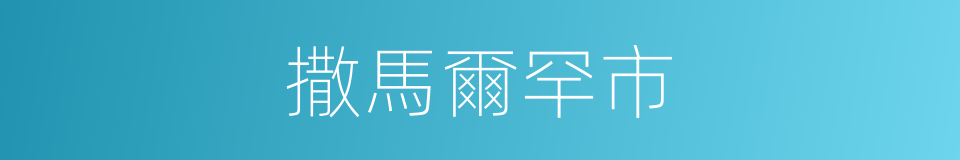 撒馬爾罕市的同義詞