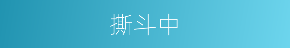 撕斗中的同义词