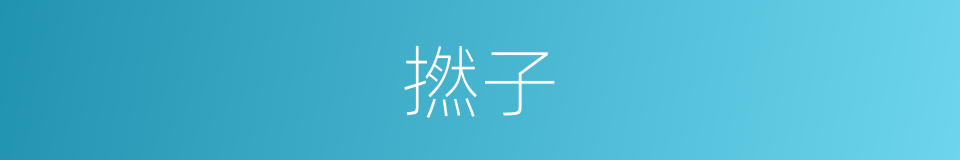 撚子的意思