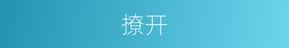 撩开的意思