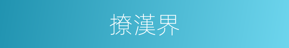 撩漢界的同義詞