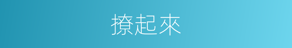 撩起來的同義詞