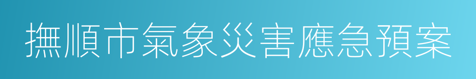 撫順市氣象災害應急預案的同義詞