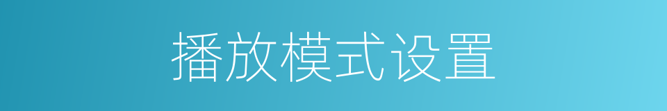 播放模式设置的同义词