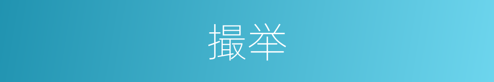 撮举的意思