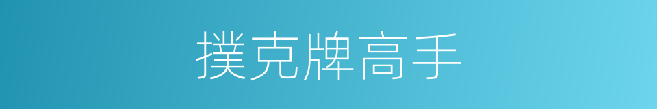 撲克牌高手的同義詞
