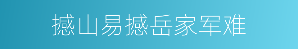 撼山易撼岳家军难的同义词