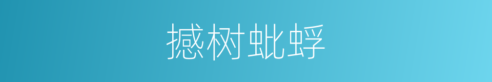 撼树蚍蜉的意思