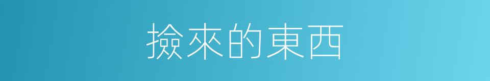 撿來的東西的同義詞