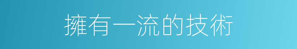 擁有一流的技術的同義詞