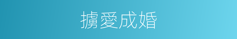 擄愛成婚的同義詞