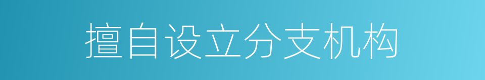 擅自设立分支机构的同义词