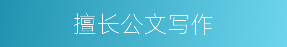 擅长公文写作的同义词