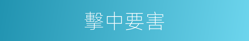 擊中要害的意思