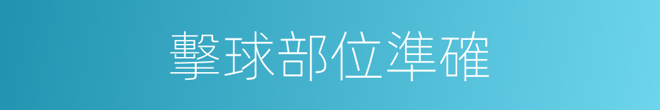 擊球部位準確的同義詞