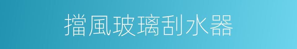 擋風玻璃刮水器的同義詞