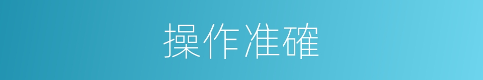 操作准確的同義詞