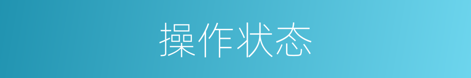 操作状态的同义词