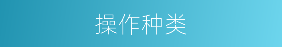 操作种类的同义词