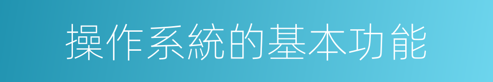 操作系統的基本功能的同義詞