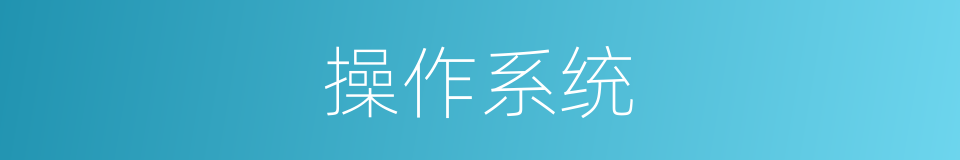 操作系统的同义词