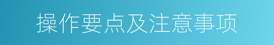 操作要点及注意事项的同义词