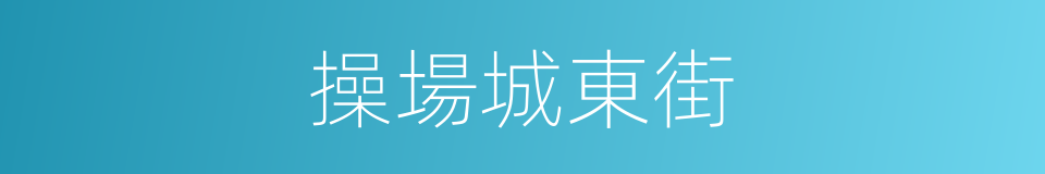 操場城東街的同義詞