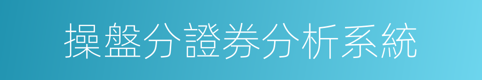 操盤分證券分析系統的同義詞