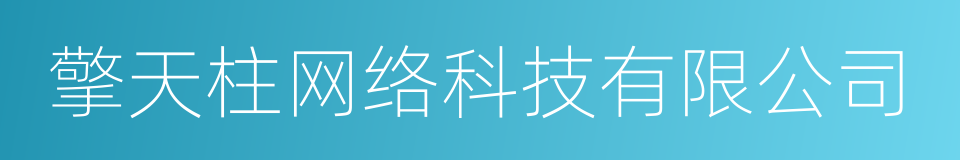 擎天柱网络科技有限公司的同义词