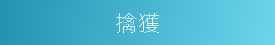 擒獲的意思