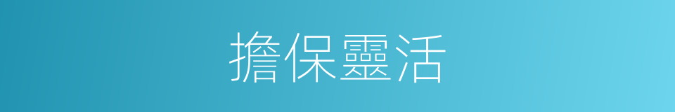 擔保靈活的同義詞