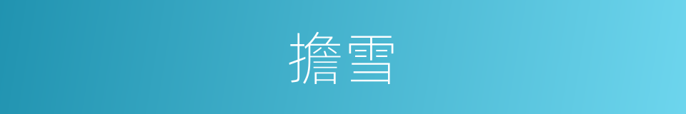 擔雪的同義詞