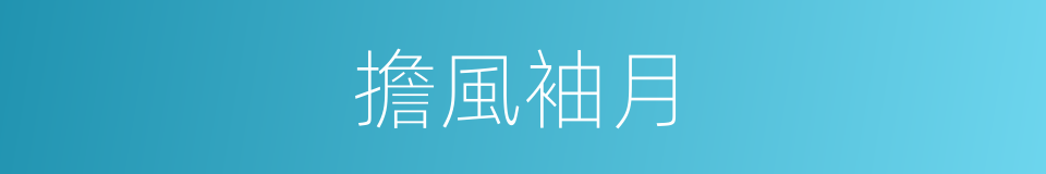擔風袖月的意思