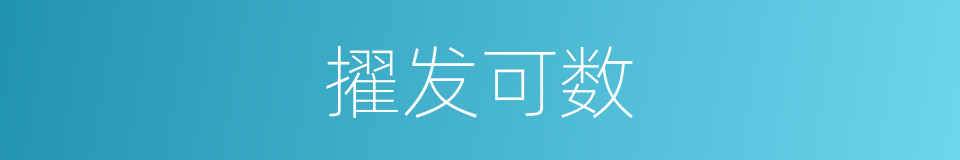 擢发可数的意思