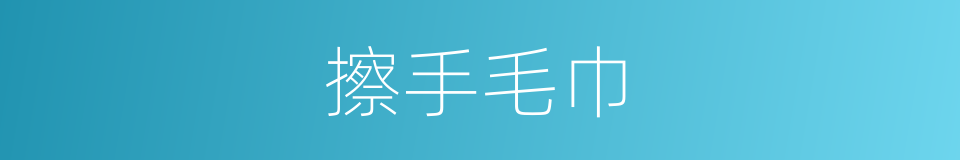 擦手毛巾的同义词