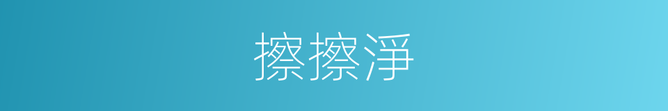 擦擦淨的同義詞