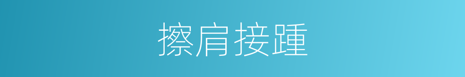 擦肩接踵的意思