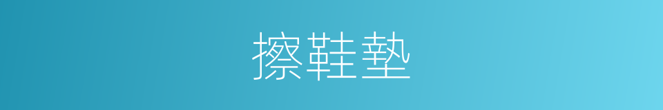 擦鞋墊的同義詞