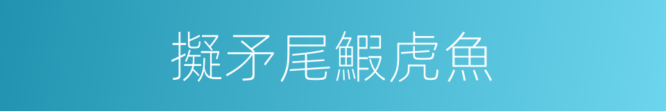 擬矛尾鰕虎魚的同義詞