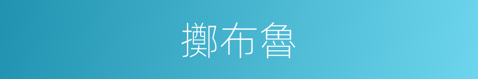 擲布魯的意思
