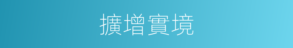 擴增實境的同義詞