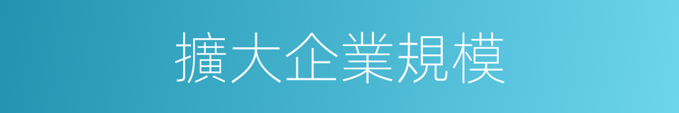 擴大企業規模的同義詞